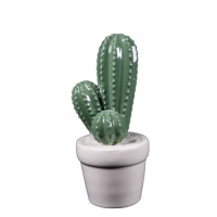 Cactus (Pin)