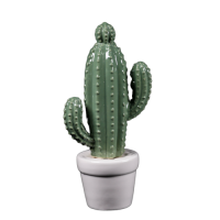 Cactus (Ble)